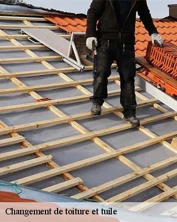 Le remplacement des toits des maisons à Bourdons Sur Rognon et les localités avoisinantes