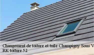 Qui peut s'occuper du changement des tuiles à Champigny Sous Varennes dans le 52400 ?