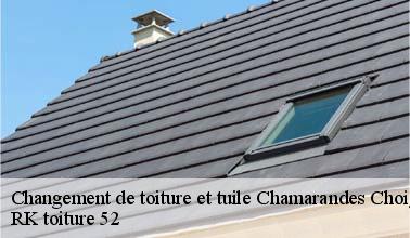 Qui peut s'occuper du changement des tuiles à Chamarandes Choignes dans le 52000 ?