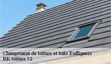 Les opérations de changement des toits à Euffigneix dans le 52000