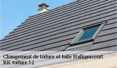 Qui peut s'occuper du changement des tuiles à Hallignicourt dans le 52100 ?