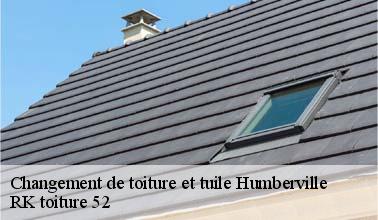 RK toiture 52 et les travaux de changement des toits à Humberville dans le 52700