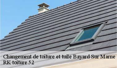 Le changement des tuiles à Bayard Sur Marne dans le 52170