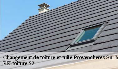 Qui peut s'occuper du changement des tuiles à Provencheres Sur Marne dans le 52320 ?