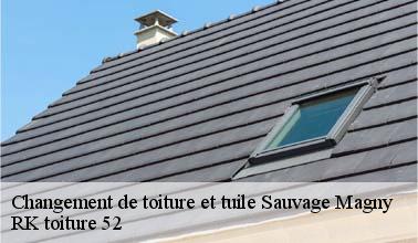 RK toiture 52 : un professionnel qui peut remplacer les toits des maisons à Sauvage Magny dans le 52220